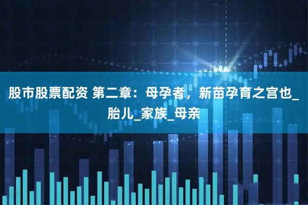 股市股票配资 第二章：母孕者，新苗孕育之宫也_胎儿_家族_母亲
