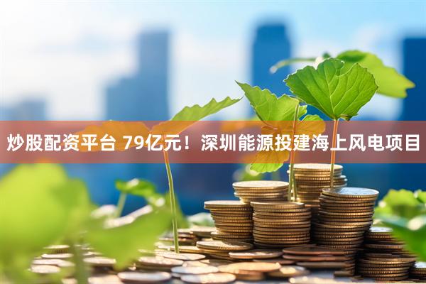 炒股配资平台 79亿元！深圳能源投建海上风电项目